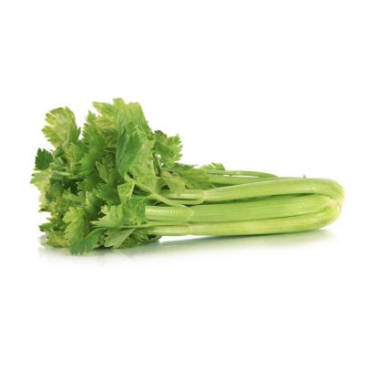 Picture of Greek Celery 1 Piece