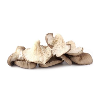 Picture of Pleurotous Mushrooms 500gr