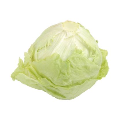Picture of Greek White Cabbage