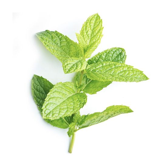 Picture of Greek Fresh Mint 25gr Pack