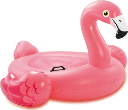 Picture of Flamingo Ride On 218x211x136
