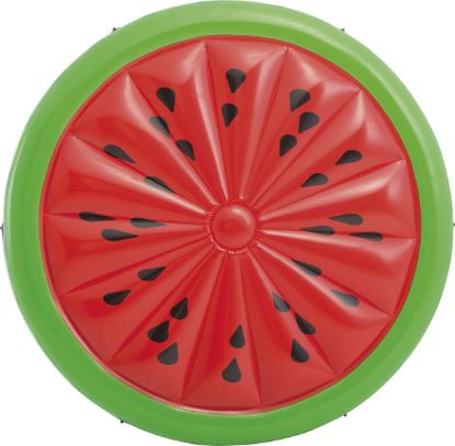 Picture of Watermelon Floaties 196cm