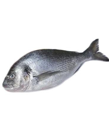 Picture of Breeding Sea Bream (fresh fish) 400/600 Fillet 200gr in vacuum Greece