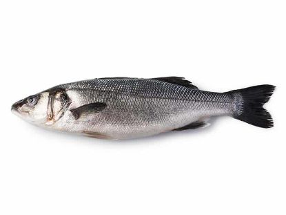 Picture of Breeding Sea Bass (fresh fish) 400/600 Fillet 200gr in vacuum Greece