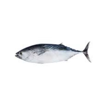 Picture of Tuna Fresh Fish Fillet 1kg in vacuum (∼ 2-3 Portions)