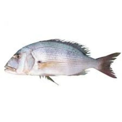 Picture of Fresh Fish Common Dentex 1kg (Greece)