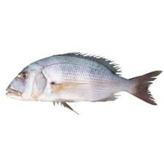 Picture of Fresh Fish Common Dentex 1kg (Greece)