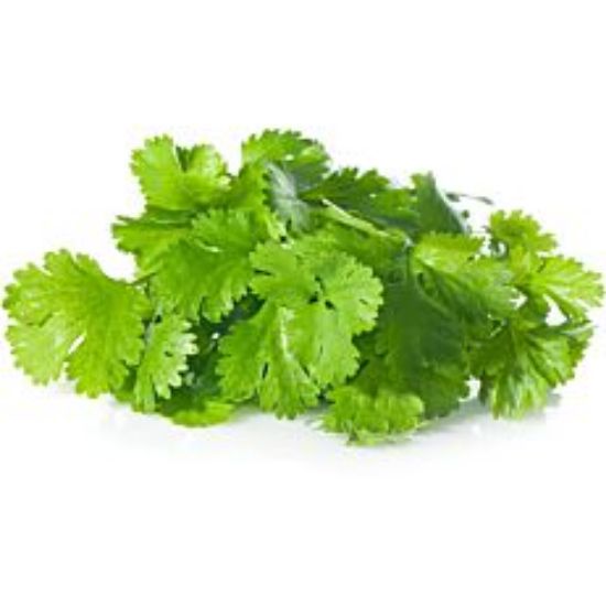 Picture of Fresh Coriander