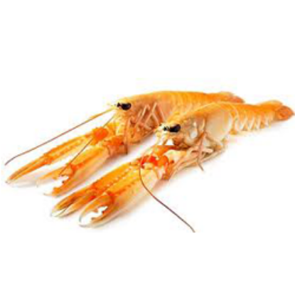 Picture of Fresh Crayfish 1kg (Greece)