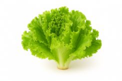 Picture of Green Salad Lola 1T