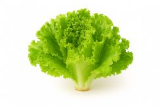 Picture of Green Salad Lola 1T