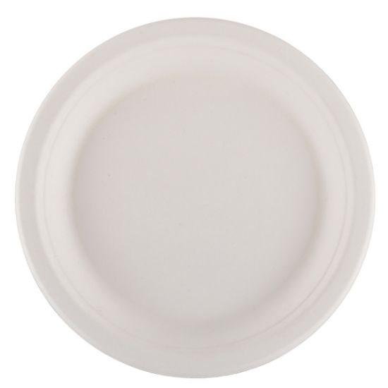 White sugarcane plates 23cm (50 pcs.)