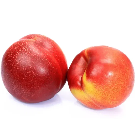 Bild von Nektarinen (1 kg)