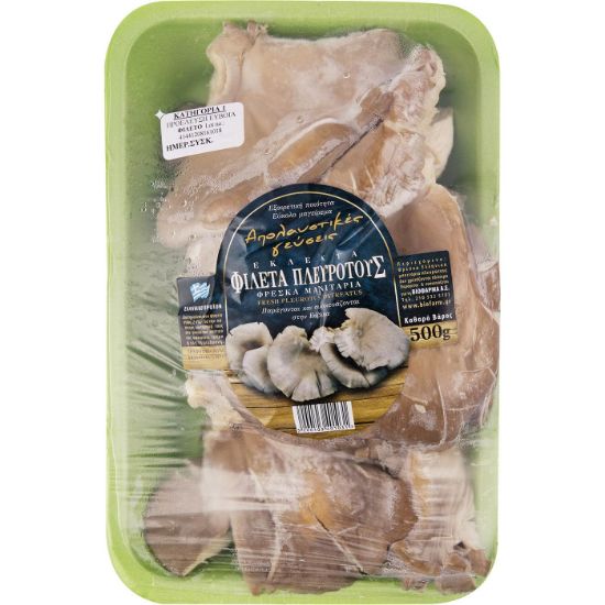 Bild von Einheimische Austernpilze, geschnitten (500 g)